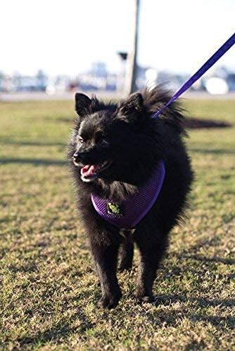EcoBark Dog Harness - Eco-Friendly Max Comfort Harnesses - Luxurious Soft Mesh Halter - Over The Head Harness Vest- No Pull and No Choke for Puppy, Toy Breeds & Small Dogs (Medium, Purple)