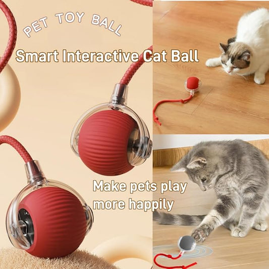 Interactive Cat Toys for Indoor Cats, Agility Move Cat Balls,Motion Activated Cat Balls, Cat Toys for Bored Indoor Cats(Green)