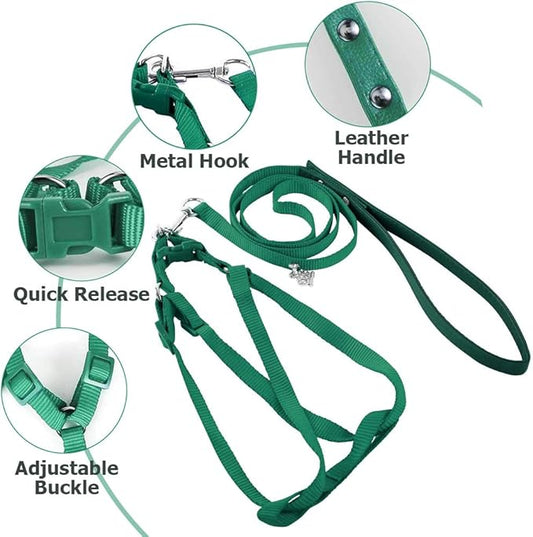 ASOCEA Adjustable Bird Harness and Leash for Yellow Naped Amazons Galah Cockatoos Small to Medium Breed Parrots Fits Birds Chest Between26-40cm /10.24-15.75inch - S