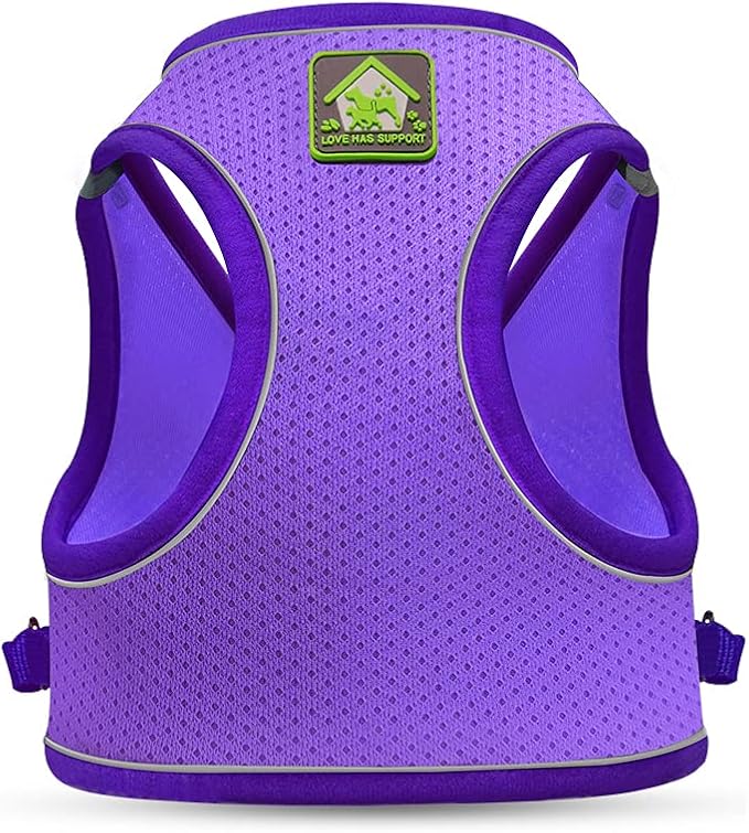 FEimaX Dog Harness and Leash Set, No-Pull Breathable Soft Mesh Puppy Vest Harness Reflective Adjustable Pet Harnesses for Small Medium Dogs and Cats - Outdoor Easy Control for Walking (M, Purple)
