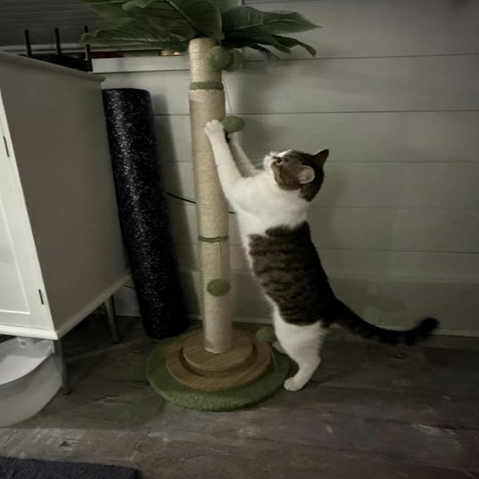 2 Pcs Cat Scratching Post Replacement for Indoor 15.7 x 3.1 Inches Cats Tree Replacement Parts Natural Sisal Cat Scratch Posts Refill Pole Part with M8 Screws Spare Cat Furniture Accessories