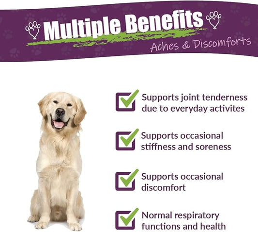Amber NaturalZ Adizone Herbal Supplement for Dogs | Supports a Healthy Inflammatory Response, Occasional Discomfort, and Joint Function | Natural Aid for Active and Aging Canines 1 Fluid Ounce