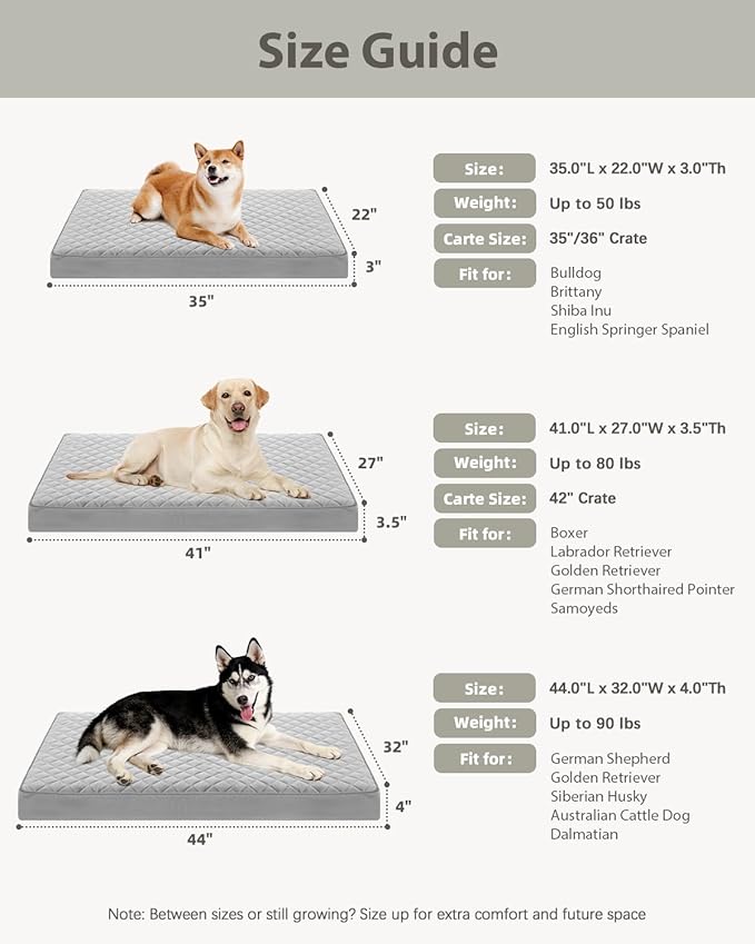 NUPIDA Orthopedic Dog Beds Large Sized Dog Waterproof Pet Mattress with Removable Washable Cover and Non-Slip Bottom, Quilting Mat for Crate, 35x22 Inch, Light Gray