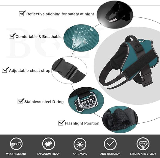 Bolux Dog Harness, No-Pull Reflective Dog Vest, Breathable Adjustable Pet Harness with Handle for Outdoor Walking - No More Pulling, Tugging or Choking (Turquoise, M)