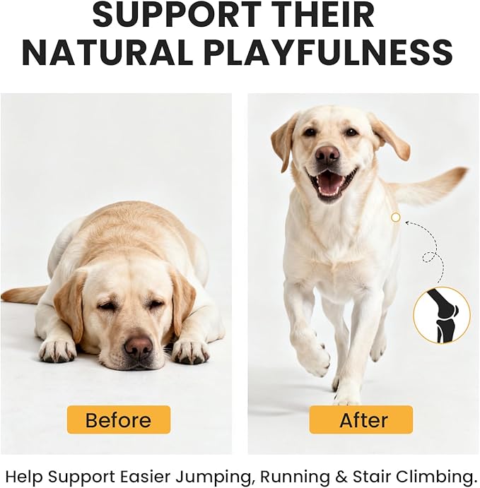 Dog Hip and Joint Supplement with Glucosamine & Chondroitin - Supports Mobility & Pain Relief for Senior & Large Dogs - 180 Soft Chews