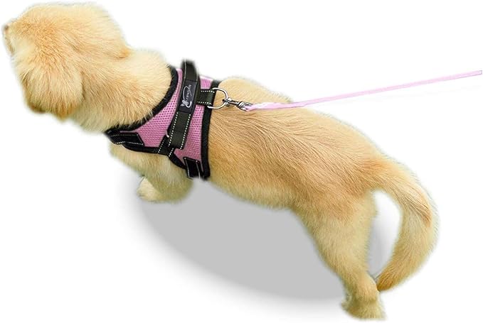 No Pull Reflective Adjustable Dog Harness with Handle- Comfortable Soft All Weather Mesh, Easy On Puppy Harness for Small Medium and Large Dogs (Pink) Small