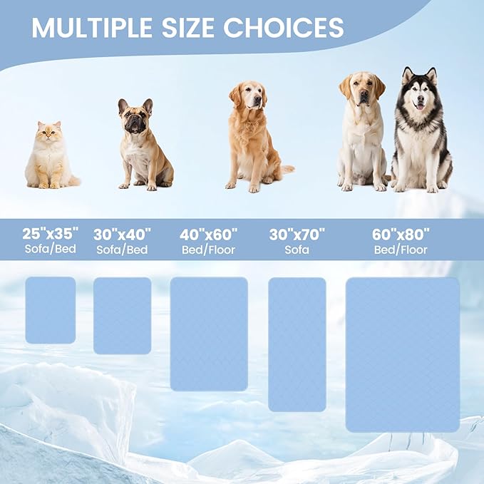Cozy Bliss Deluxe Leakproof Cooling Blanket for Dogs Q-Max 0.5, Sofa Topper & Couch Protector for Pet, Soft & Durable Washable Pet Cooling Mat for Hot Weather, Haze Blue, 30"x70"