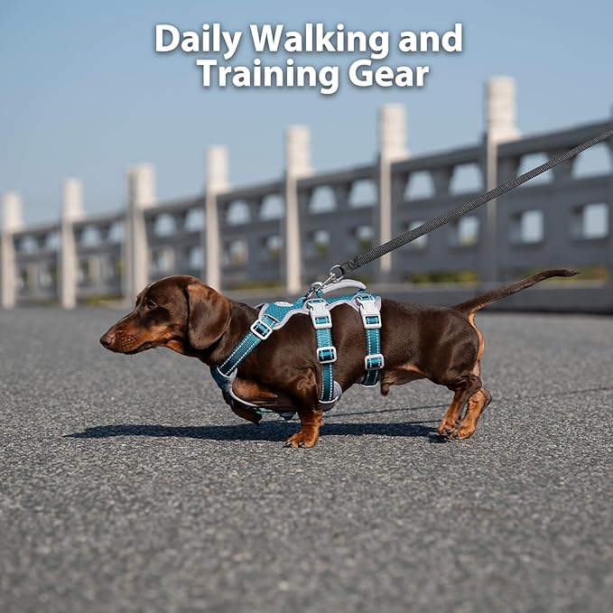 Huntboo Escape Proof Dog Harness, Escape Artist Harness, Fully Reflective Harness with Padded Handle, Breathable, Durable, Adjustable Vest for Small Dogs Walking, Training, and Running Gear (Teal,S)