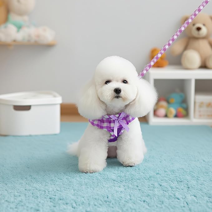 EXPAWLORER Cute Dog Harness and Leash Set - Purple Girl Dog Harness Checkered Step-in Design, Easy Adjustable No-Choke Lightweight Breathable Vest for Small Medium Dogs Outdoor Walking, Medium