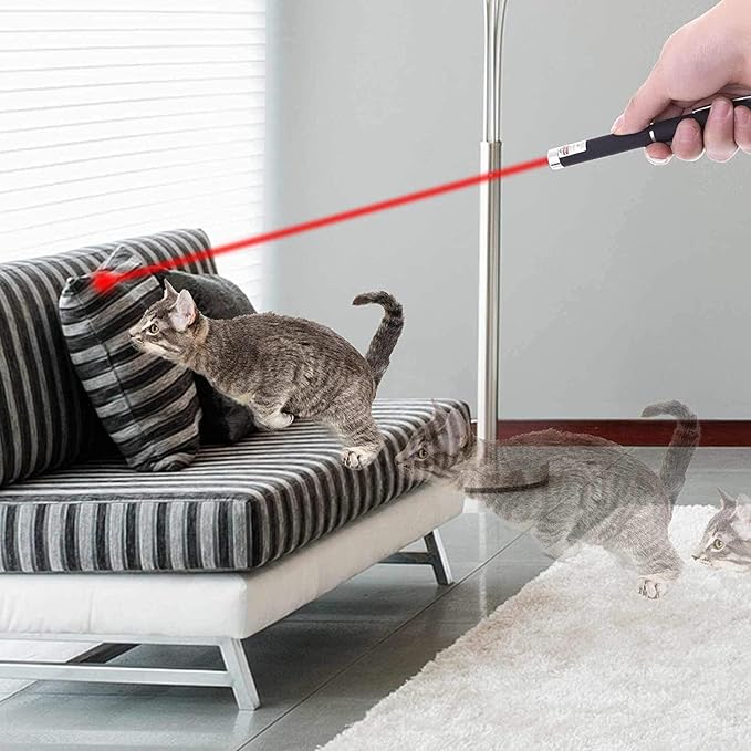 MEUSNO 3 Pack Cat Laser Pointer Toy, Red Green Cat Laser Pointer for Cats Dogs Indoor Chaser Cats Dog Pet Laser Toy Laser Light Pointer, Small Laser Pet Toy Geese Deterrent