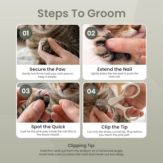 Necoichi Purrcision Feline Nail Clippers | Lever Principle Cat Nail Clipper | Butter-Smooth Cuts | Seki, Gifu Swordsmith Craftsmanship | Stainless Steel Cat Claw Trimmer for Indoor Cats (Gray)