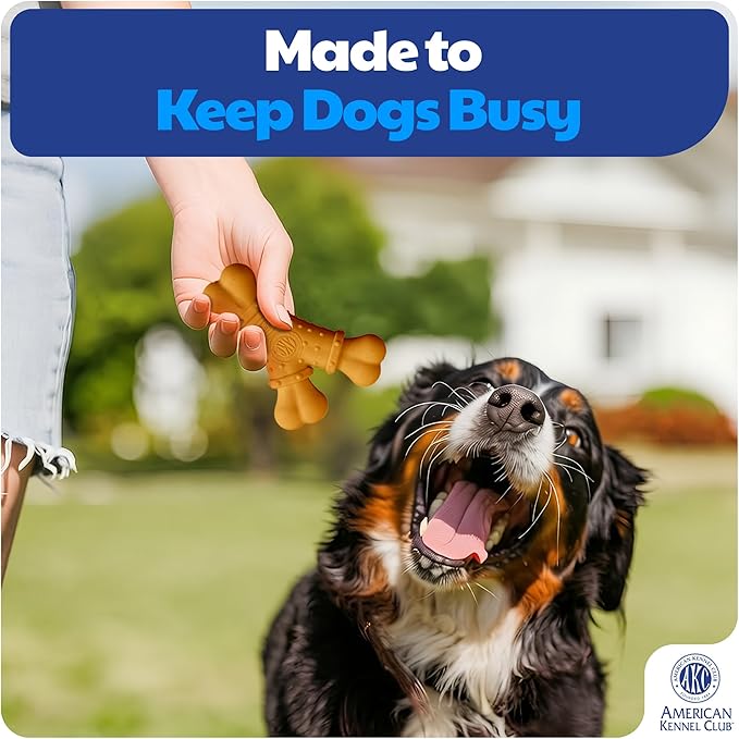 American Kennel Club Training Dog Chew Toy, Nylon Y-Shaped Bone, Durable Dog Toy for Moderate Chewers, Beef Scented for Long-Lasting Engagement, Supports Dental Health