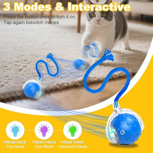 2-Pack Interactive Cat Toys Ball for Indoor Cats&Dog,Automatic Cat Toy with Smart Obstacle Avoidance&Bird Chirps,Includes 8 Cat Spiral Spring,Cat Enrichment Toys for Indoor Cats(Red&Blue)