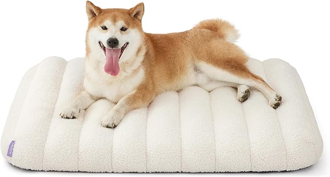 LE SURE Cute Orthopedic Dog Bed Medium Size Dog, Waterproof Chic Flat Pet Beds with Removable Washable Cover, Fuzzy Thick Egg Crate Foam Pet Mat for Indoor Use (30" x 20", Cream)