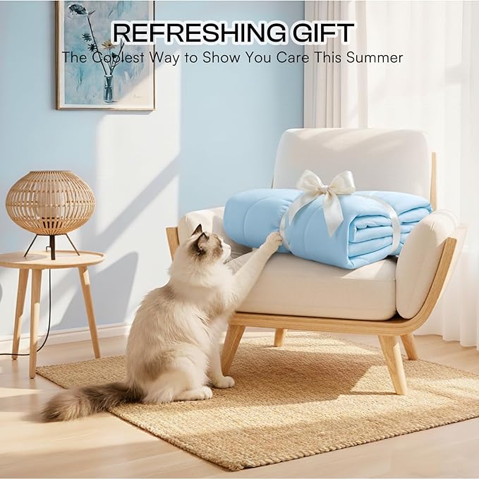 Luciphia Premium Cooling Dog Blanket Washable Q-MAX>0.5 Small Medium Large Pet Mat Puppy Cat Self-Cooling Soft Breathable Calming Throw for Sofa Crate Bed (Light Blue,25x35 inches)