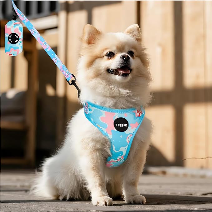 Small Dog Harness and Leash Set of 6, No Pull Soft Lightweight Mesh Puppy Harness, Adjustable Cute Floral Pattern Pet Harness for Small Medium Dogs (Blue Sea, XS)