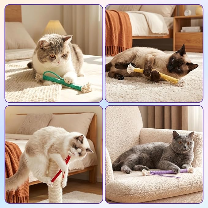 Cat Toys Chew Ropes, 6 PCS Kitten Teething Toys for Indoor Kittens Interactive Cats Cleaning Toy Refillable Catnip Cat Chew Ropes Toy for Indoor Cats Teeth Cleaning Self Playing