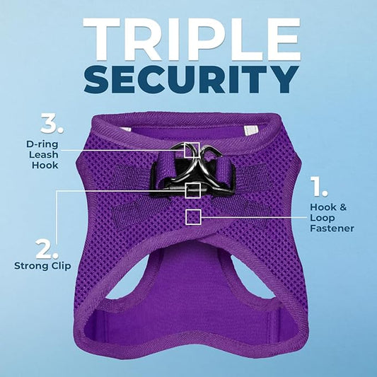 Best Pet Supplies Voyager Step-in Air All Weather Mesh Harness and Reflective Dog 5ft Leash Combo with Neoprene Handle, for Small, Medium and Large Breed Puppies - Set (Purple), Medium
