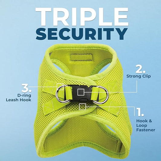 Best Pet Supplies Voyager Step-in Air All Weather Mesh Harness and Reflective Dog 5ft Leash Combo with Neoprene Handle, for Small, Medium and Large Breed Puppies - Set (Lime Green), XX-Small