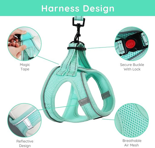 BELLA & PAL Step in Vest Harness for Small and Medium Dogs, No Pull Small Dog Harness with Leash Set, Comfortable Air Mesh Dog Vest Harness with Reflective Strip (Light Green, XXS)