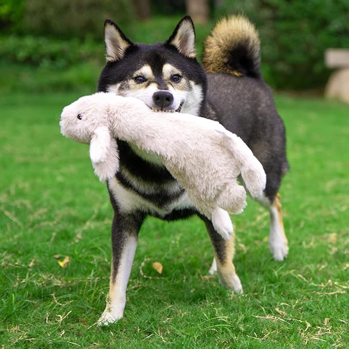 Best Pet Supplies Squeaky Dog Toys with Soft Durable Fabric for Small, Medium and Large Pets Interactive Toy for Indoor Play, Supports Active Biting and Play - Hare, Small