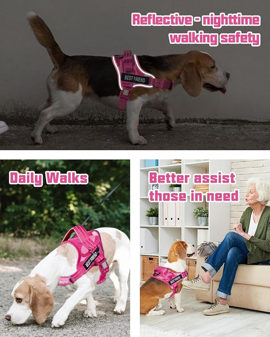 AUROTH Dog Harness and Leash Set, Soft Padded Service Dog Vest with 5.25FT Dog Leash, No Choke, Easy On Pet Vest, Adjustable Reflective No Pull Dog Harness Small Sized Dog, Easy Walking and Training
