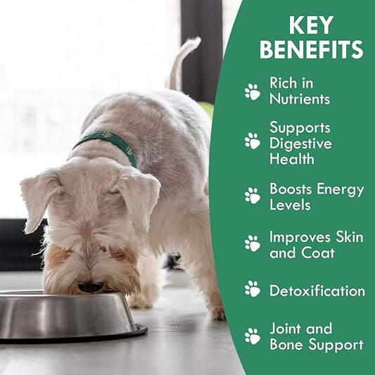 Holistic Bin Canine Super Greens Plant-Based Dog Food Toppers | Nutrient-Rich Supplement Powder | Gut Balance, Joint Strength, Digestion, Fresh Breath & Overall Canine Wellness | Greens Powder (50g)