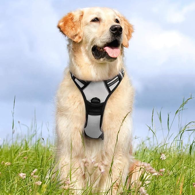 rabbitgoo Dog Harness No Pull with 2 Leash Clips, Adjustable Soft Padded, Reflective Oxford No Choke Pet Vest with Easy Control Handle for Medium Sized Dogs, Grey, M
