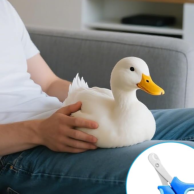 Call Duck Nail Clippers with Nail File,Stainless Steel Call Duck Chicken Hen Roster Goose Toe Nail Clippers Professional Grooming Pet Tool for Small Breed Animals
