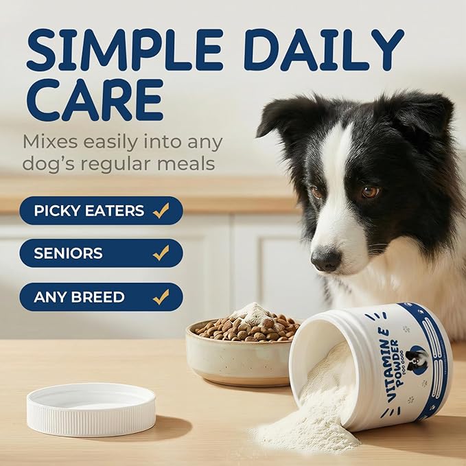 Vitamin E for Dogs Powder - Dog Vitamins & Antioxidant Support - Skin & Coat Support, Immune & Liver Function - Daily Dog Supplements & Vitamins with Fish Oil & Zinc - 60 g