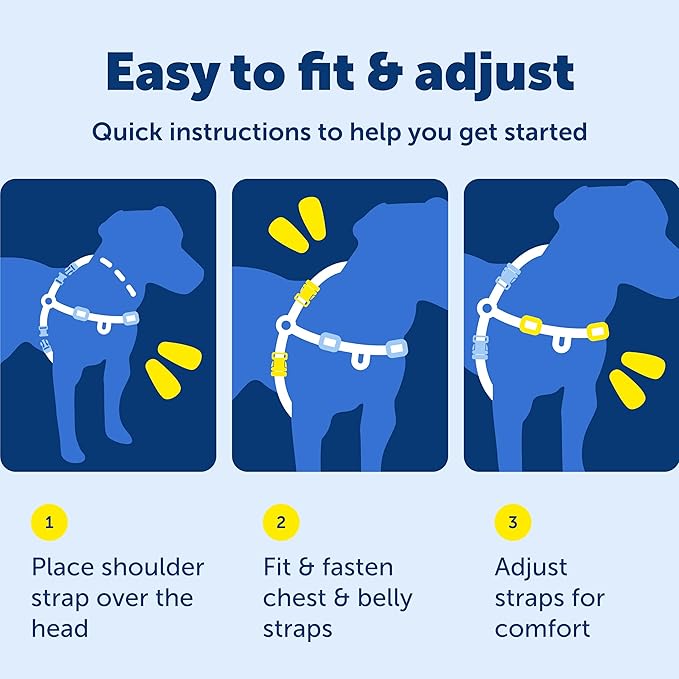 PetSafe Easy Walk Deluxe Dog Harness, No Pull Dog Harness – Perfect for Leash & Harness Training – Stops Pets from Pulling and Choking on Walks – Medium/Large, Ocean