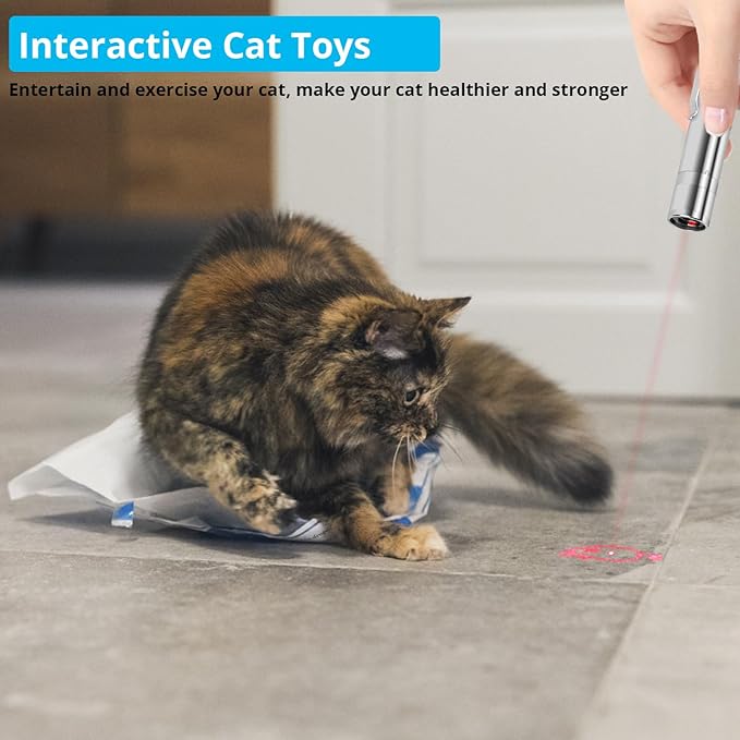 Waputne Cat Toy for Indoor Cats, 2 Pieces, USB Rechargeable Kitten Toys with 7 Adjustable Patterns, Interactive Chase Toys for Indoor Cats & Dogs, Training & Exercise Fun