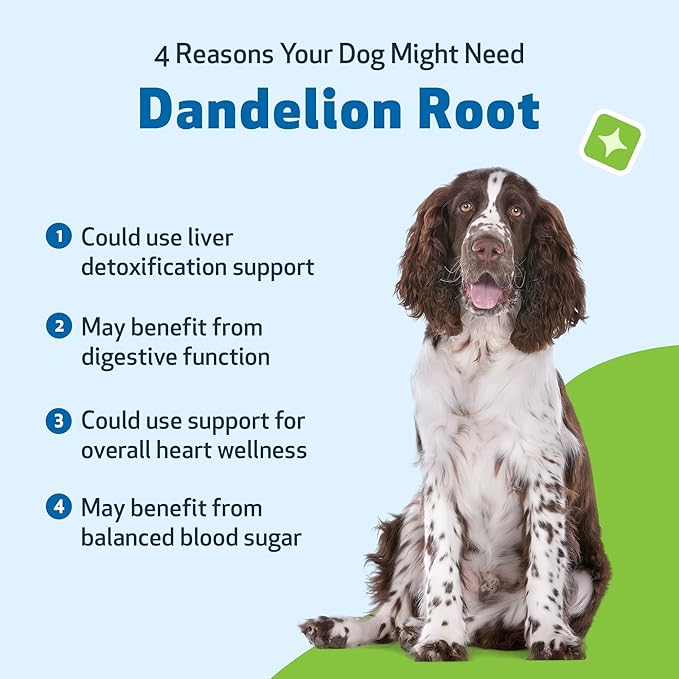Pet Wellbeing Dandelion Root for Dogs - Liver & Heart Health, Digestive Function, Blood Sugar Support, Certified Organic - Veterinarian-Formulated Herbal Supplement 4 oz (118 ml)