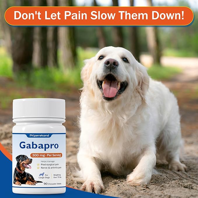 Gabapro for Large Dogs 300mg, Relieves Post-Surgical Discomfort, Dog Pain Relief, Joint Support, Over 75 lbs, 90 Tablets
