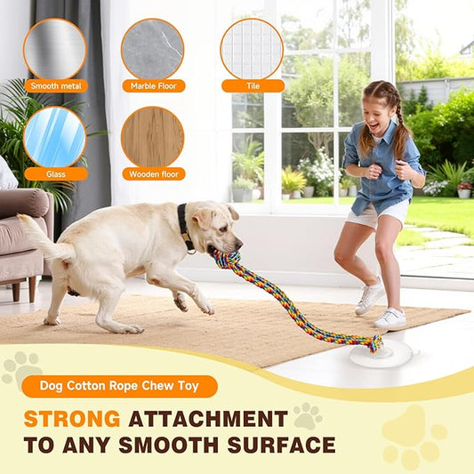 Interactive Dog Toys to Keep Them Busy, Tug of War, Dog Enrichment Toys for Aggressive Chewers, Puppy Teething Toys,Durable Rope & Chew Ball, Indoor Toys Small Dogs,Rainbow