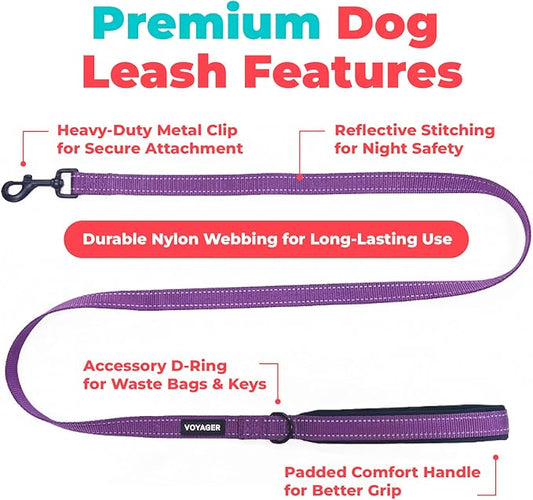 Best Pet Supplies Voyager Reflective Dog Leash or Collar with Neoprene Handle, for Small, Medium, and Large Breed Puppies, Cute and Heavy Duty for Walking, Running and Training - Purple (Leash), L