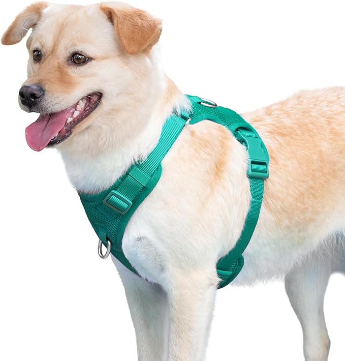 No Pull Dog Harness for Small Medium Large Dogs - Adjustable 2 Layer Mesh Dog Vest with Dual Clip, Escape Proof, Quick Release, Lightweight Breathable Mesh for Walking Hiking (MARRS Green,M)
