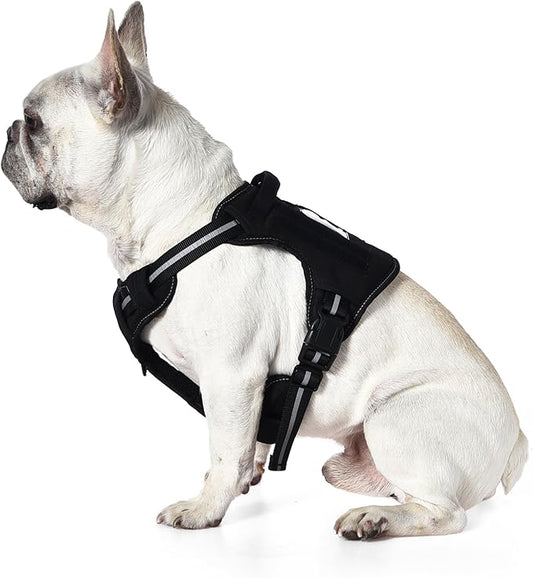 Amazon Basics No-Pull Dog Harness, Adjustable Front Clip, Escape Proof Tactical Vest, Small, Black