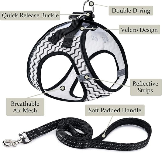 BOOMIBOO Dog Harness with Leash Set, No Pull Adjustable Reflective Step-in Puppy Pet Vest Harnesses for Small Medium Large Dogs and Cats,White Stripe XXS