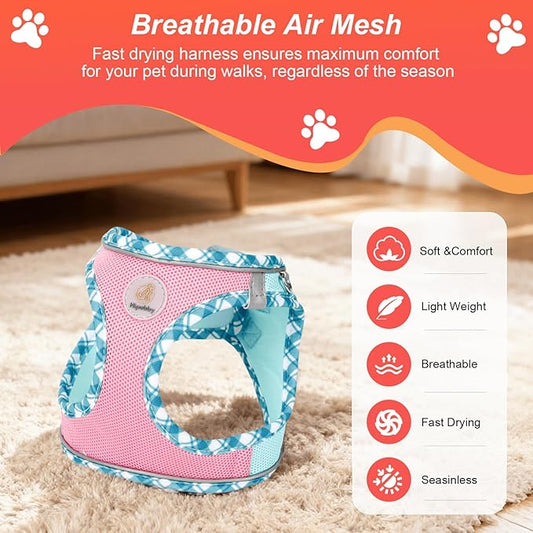 Hipubby Dog Harness Small Sized and Leash Set, No Pull Soft Mesh Puppy Vest, Reflective Breathable Lightweight Pet Harness, Harness for Small Medium Dogs and Cats - Pink Green, M