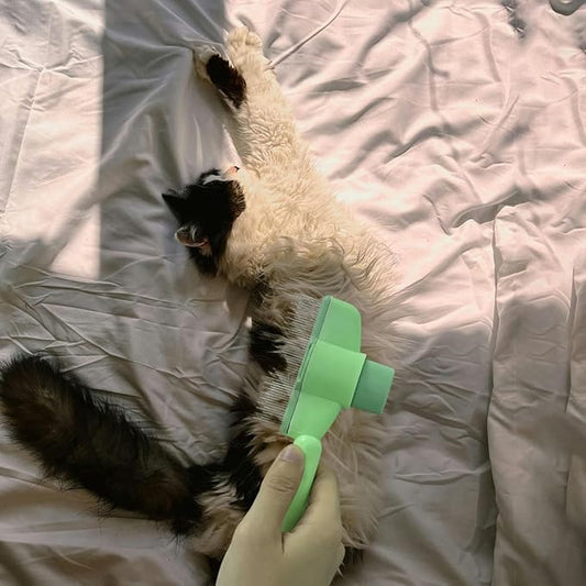 2PCS Cat Comb Dog Hair Comb,Pet Grooming Cleaning Comb,Pet Hair Removal Tool with Release Button