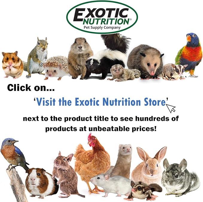 Exotic Nutrition Glider-Cal (3.5 oz.) - Calcium Supplement for Sugar Gliders - Prevents Hind Leg Paralysis