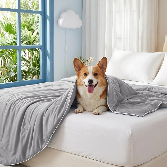 Soulbond Cooling Blanket for Large Dogs - Q-MAX>0.45, Washable Cool Pet Cats Throw Blanket for Hot Weather, Self-Cooling Soft Dog Mat for Bed Crates Couch Sofa Cars(40"x50", Dark Gray)