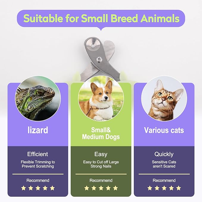 Cat Nail Clippers with Nail File, Kitten Claw Nail Clippers for Trimming, Stainless Steel Pet Bearded Nail Clippers Tool for Dragon, Guinea Pig, Rabbits, Birds, Ferret Small Breed Animals(Green)
