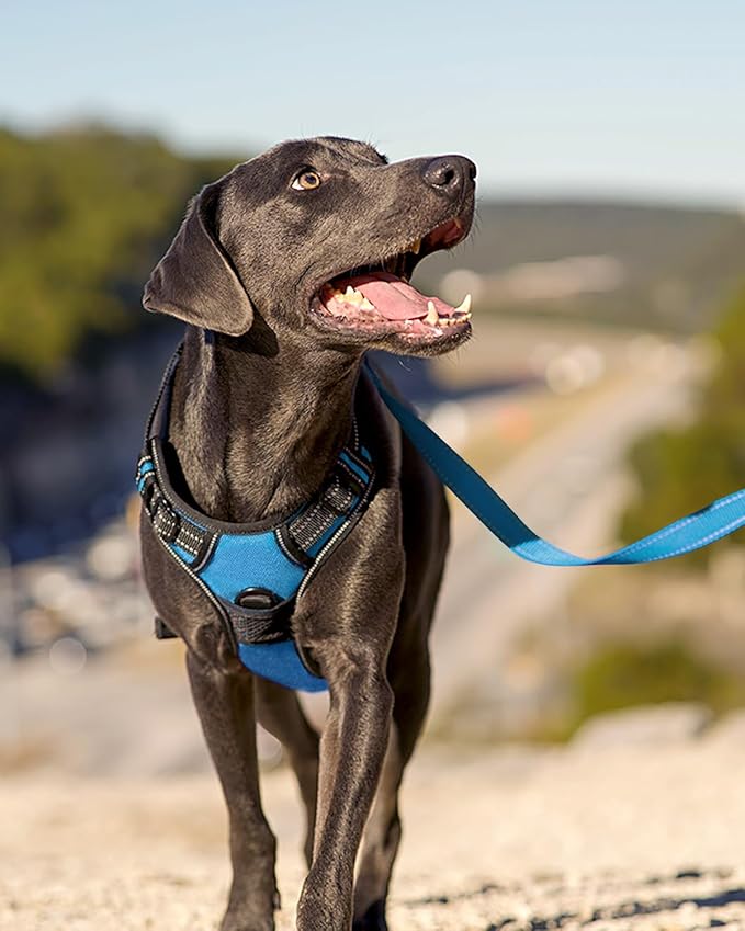Joytale No Pull Dog Harness Medium Sized Dog, Reflective Pet Vest with Front Clip, Adjustable Soft Padded Harnesses with Easy Control Handle for Training and Walking, Sky Blue, M