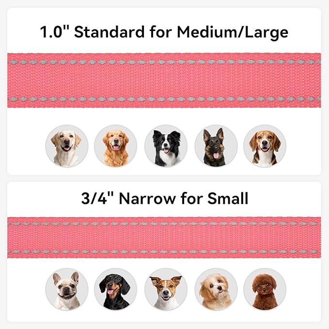 Joytale Dog Leash, 5 FT Double-Sided Reflective, Padded Handle Nylon Heavy Duty Leashes for Medium & Large Dogs Walking, Neon Pink