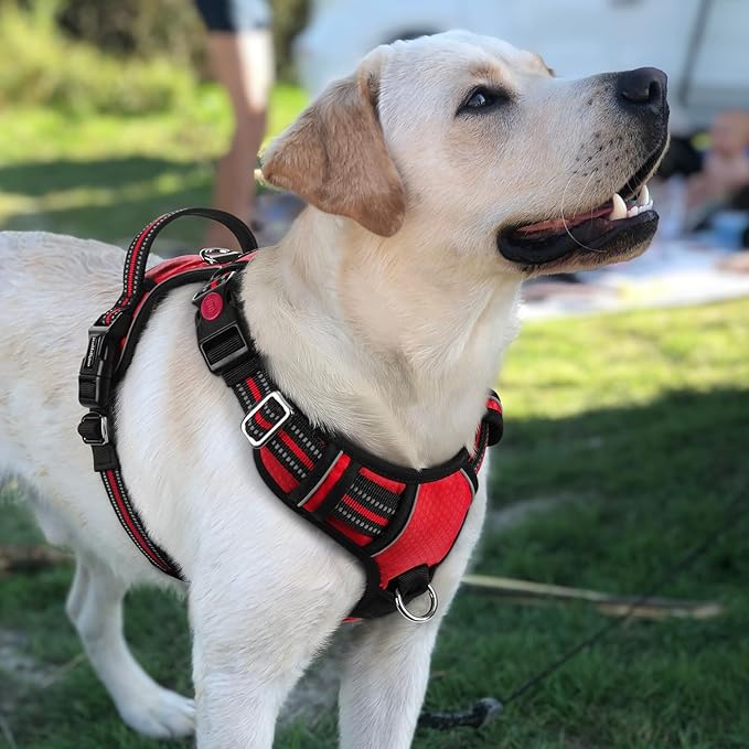 rabbitgoo Dog Harness for Large Dogs, No Pull Pet Vest with 3 Buckles, Adjustable Soft Padded Pet Harness with Easy Control Handle and Reflective Strips, Red, L