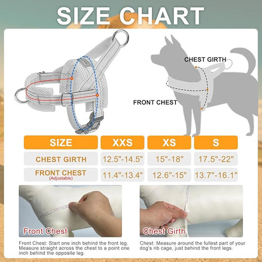 BEAUTYZOO Dog Harness Small Sized Dogs,2.0 Upgraded No Pull Front Adjustable Dog Harness and Leash Set,Escape Proof Soft Puppy Vest with Handle,Reflective Lightweight Step in Harness for Girl Boy Dogs