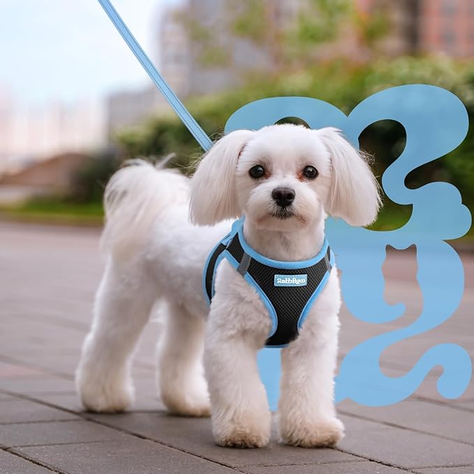 rabbitgoo Dog Harness Small Sized and Leash Set, Step-in Breathable Pet Harness, Soft Walking Reflective Puppy Vest for Small Dogs, Black & Light Blue, L