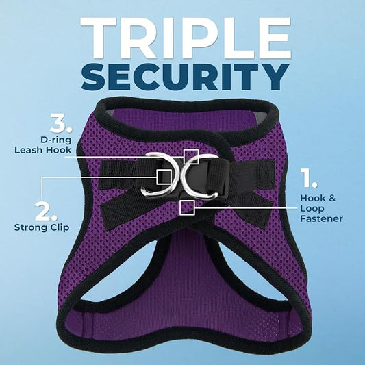 Best Pet Supplies Voyager Step-in Air All Weather Mesh Harness and Reflective Dog 5ft Leash Combo with Neoprene Handle, for Small, Medium and Large Breed Puppies - Set (Purple/Black Trim), X-Small